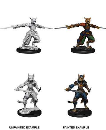 D&amp;D Nolzur&#39;s: Tabaxi Female Rogue