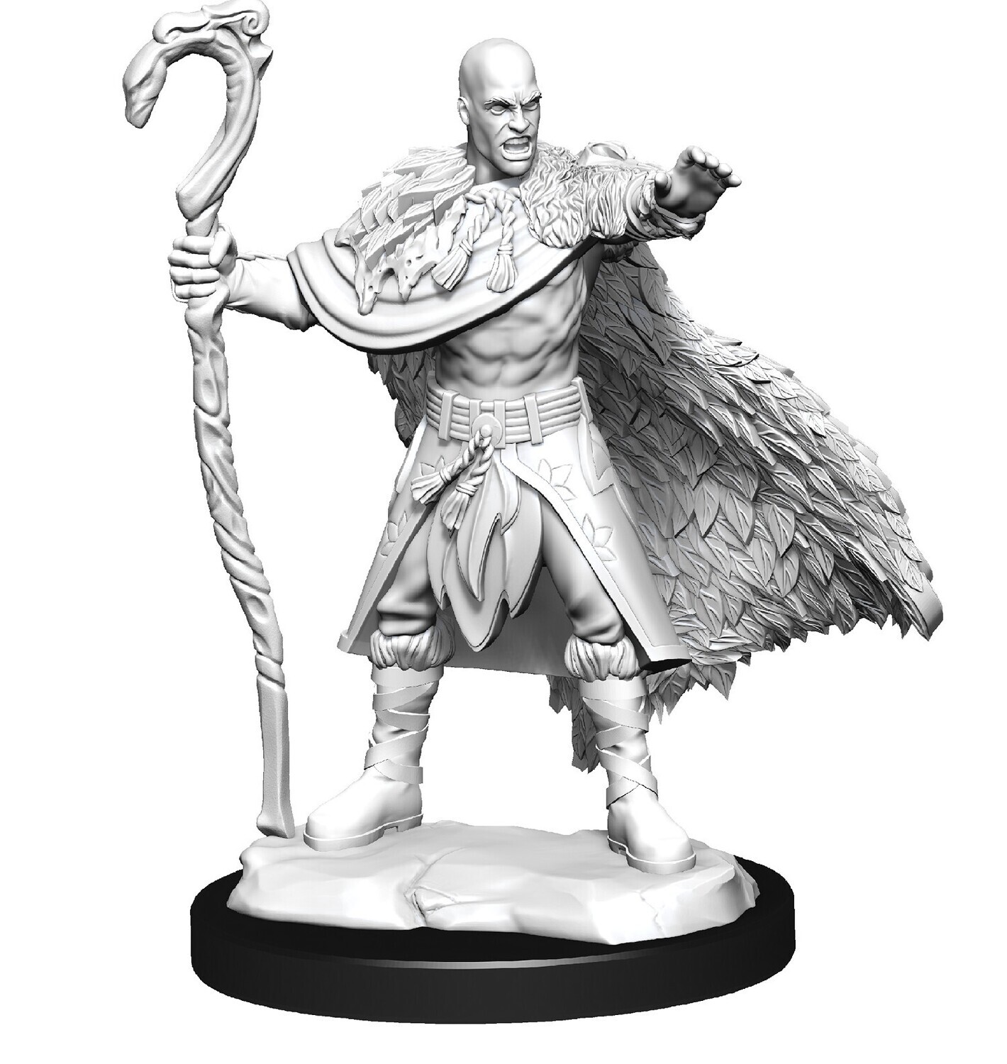 D&amp;D Nolzur&#39;s: Human Male Druid
