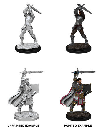 D&amp;D Nolzur&#39;s: Human Male Paladin