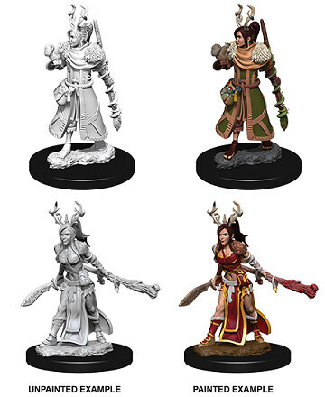 D&amp;D Nolzur&#39;s: Human Female Druid