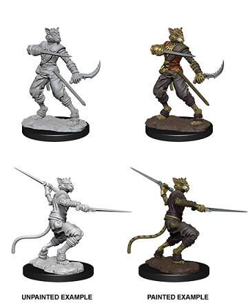 D&amp;D Nolzur&#39;s: Tabaxi Male Rogue