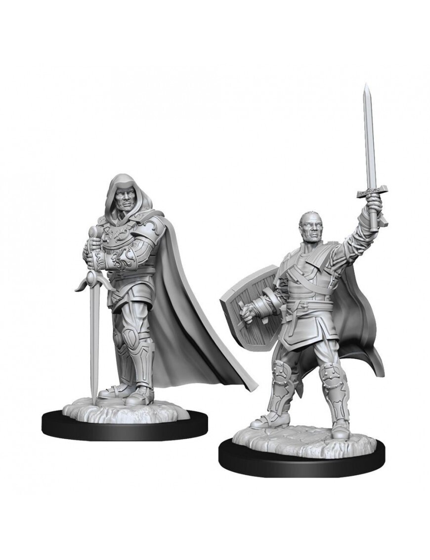 D&amp;D Nolzur&#39;s: Human Male Paladin