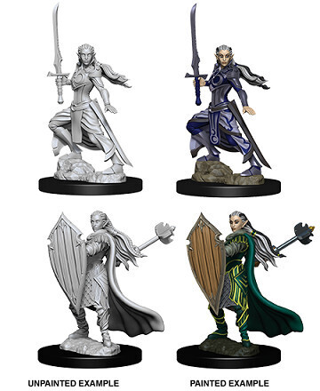 D&amp;D Nolzur&#39;s: Elf Female Paladin
