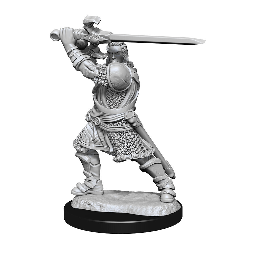 D&amp;D Nolzur&#39;s: Human Male Paladin