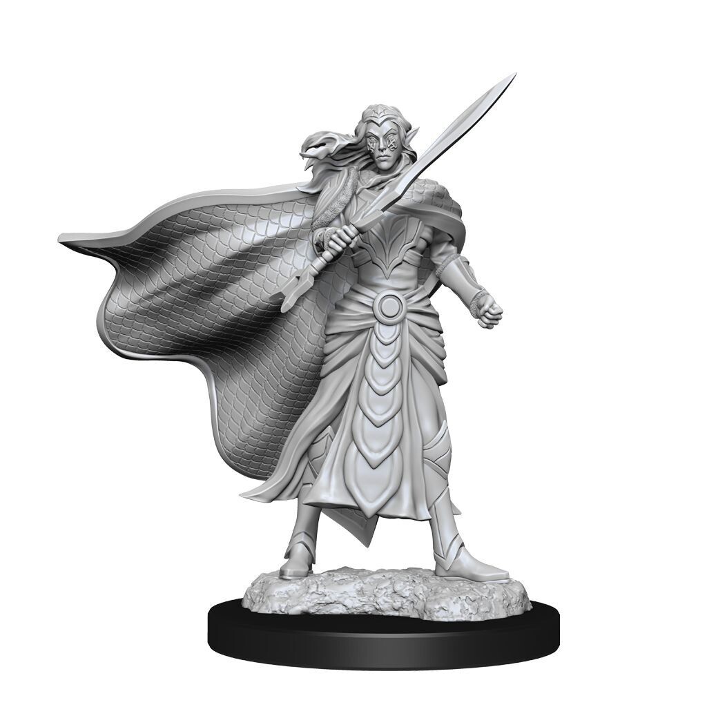WizKids: MTG Elf Male Fighter &amp; Cleric