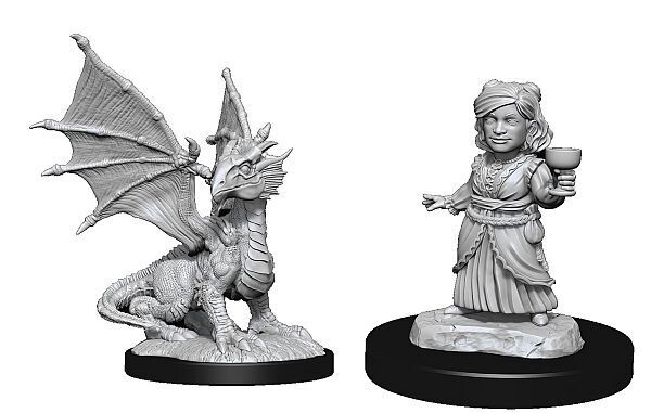 D&amp;D Nolzur&#39;s: Silver Dragon Wyrmling &amp; Halfling Dragon Friend