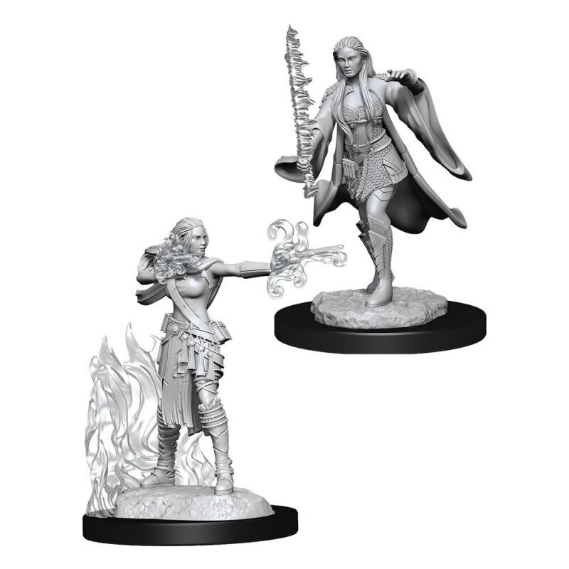 D&amp;D Nolzur&#39;s: Human Female Warlock/Sorcerer