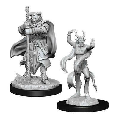 D&amp;D Nolzur&#39;s: Hobgoblin Devastator &amp; Iron Shadow