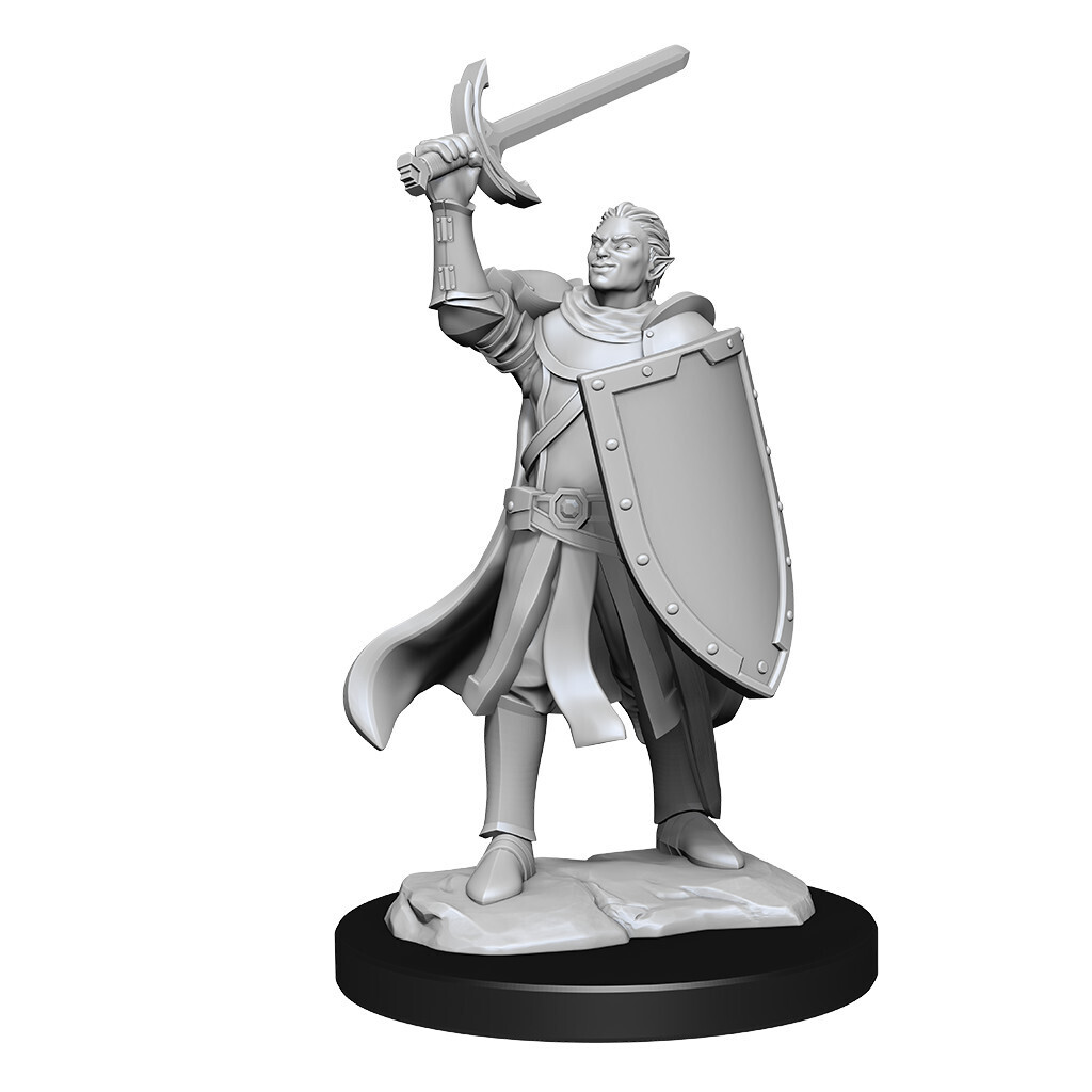 D&amp;D Nolzur&#39;s: Half-Elf Male Paladin