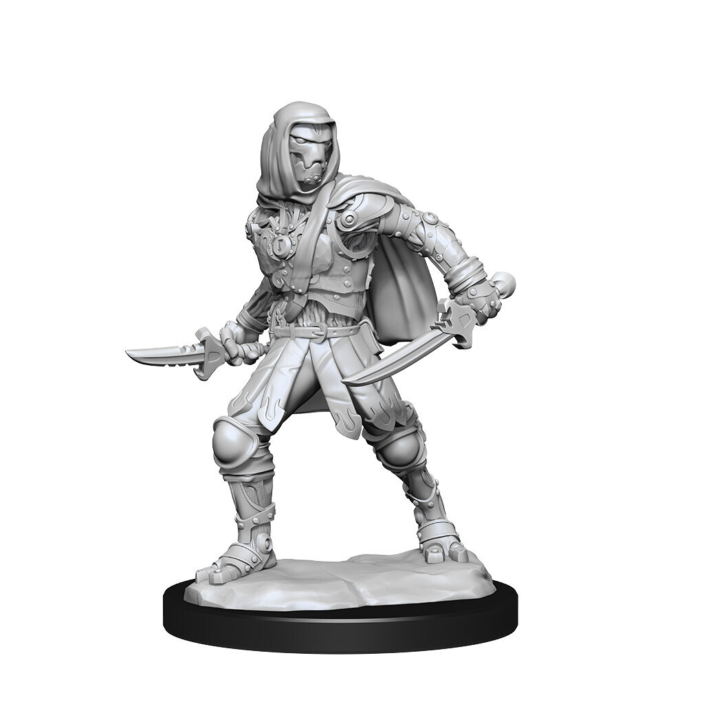 D&amp;D Nolzur&#39;s: Warforged Male Rogue