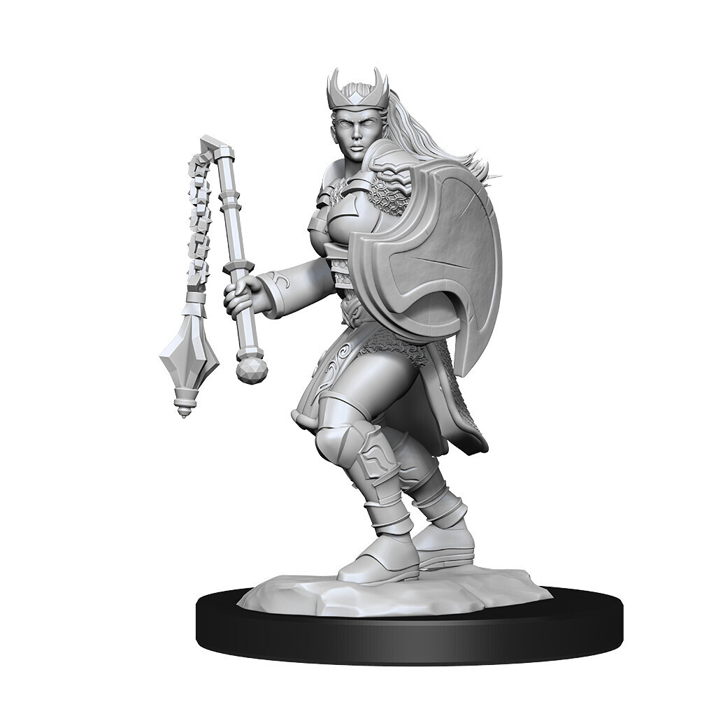 D&amp;D Nolzur&#39;s: Kalashtar Female Cleric