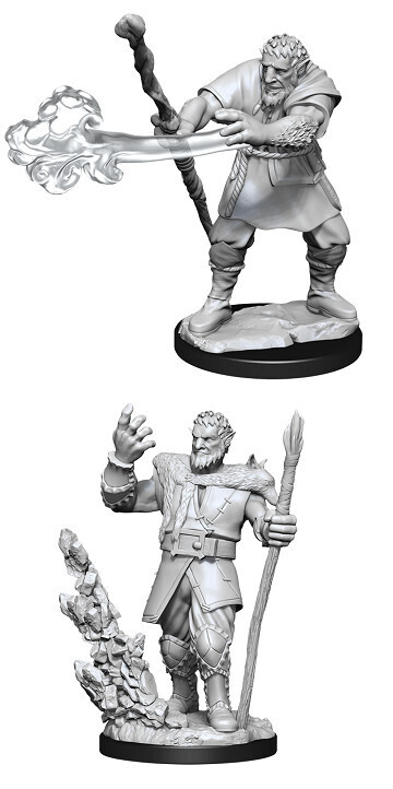 D&amp;D Nolzur&#39;s: Firbolg Male Druid