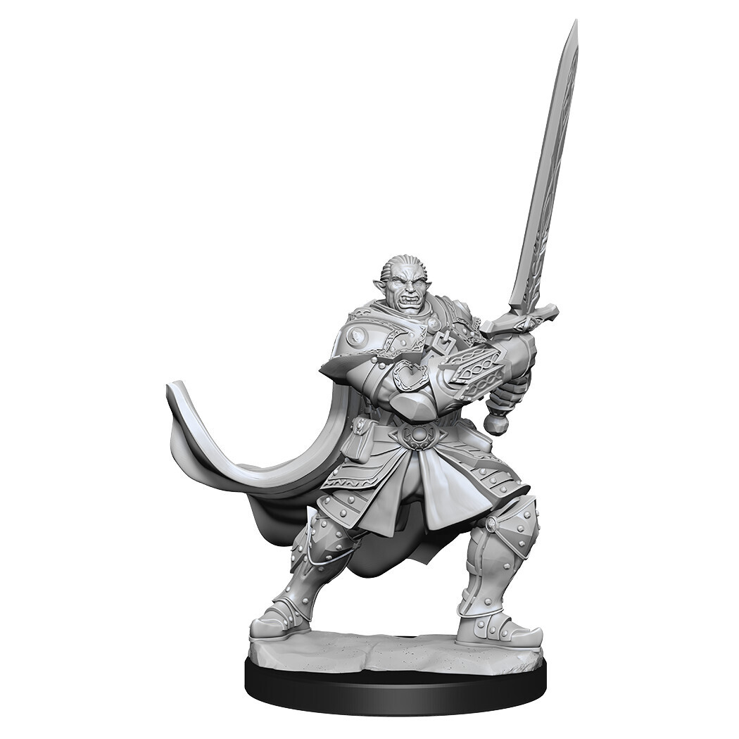 D&amp;D Nolzur&#39;s: Half-Orc Male Paladin