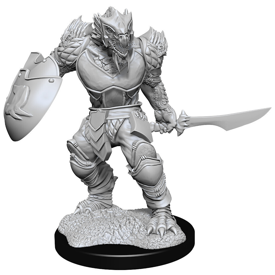 D&amp;D Nolzur&#39;s: Dragonborn Male Fighter