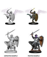 D&amp;D Nolzur&#39;s: Aasimar Male Paladin