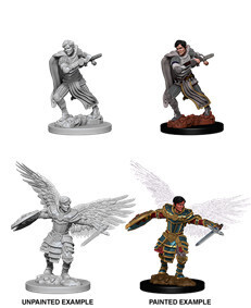 D&amp;D Nolzur&#39;s: Aasimar Male Fighter