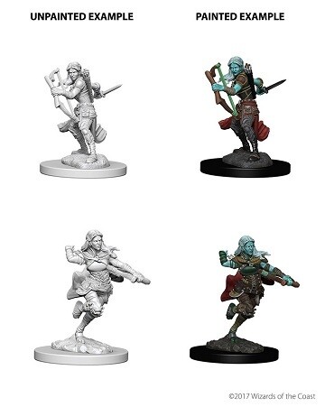 D&amp;D Nolzur&#39;s: Air Genasi Female Rogue