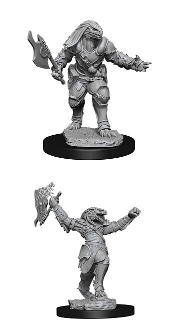 D&amp;D Nolzur&#39;s: Dragonborn Female Fighter