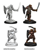 D&amp;D Nolzur&#39;s: Dragonborn Female Paladin