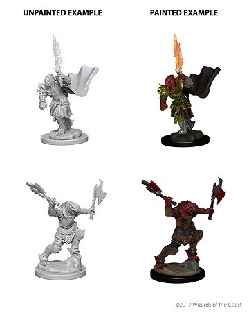 D&amp;D Nolzur&#39;s: Dragonborn Female Fighter