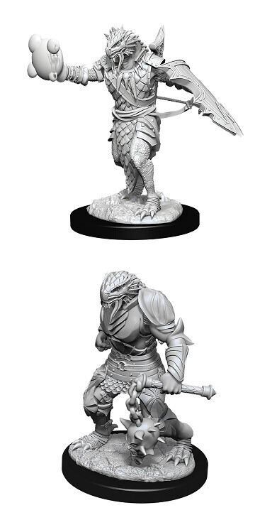 D&amp;D Nolzur&#39;s: Dragonborn Male Paladin