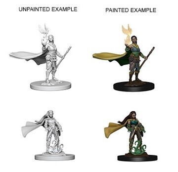 D&amp;D Nolzur&#39;s: Elf Female Druid