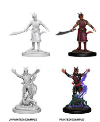 D&amp;D Nolzur&#39;s: Tiefling Male Warlock