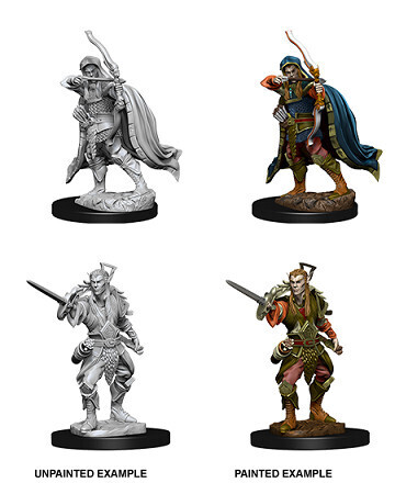 D&amp;D Nolzur&#39;s: Elf Male Rogue