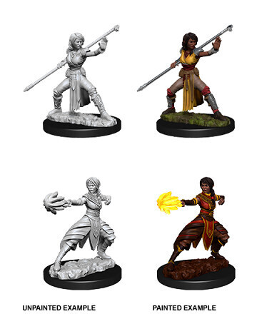 D&amp;D Nolzur&#39;s: Half-Elf Female Monk