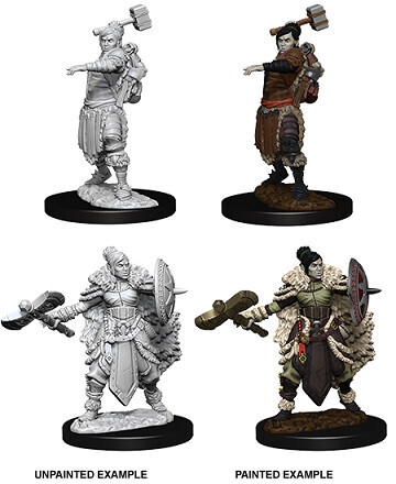 D&amp;D Nolzur&#39;s: Half-Orc Female Barbarian