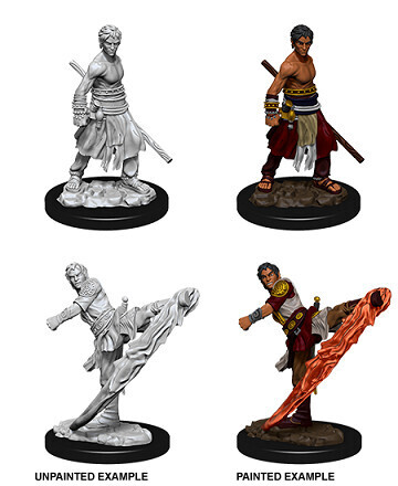 D&amp;D Nolzur&#39;s: Half-Elf Male Monk