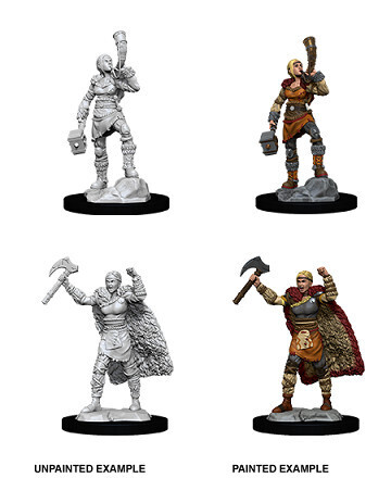 D&amp;D Nolzur&#39;s: Human Female Barbarian