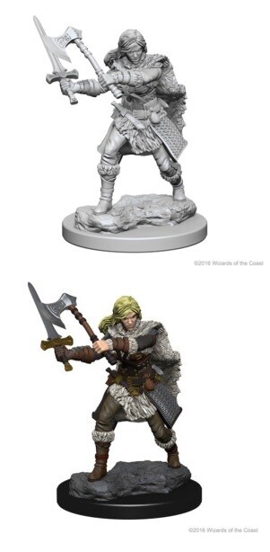 D&amp;D Nolzur&#39;s: Human Female Barbarian
