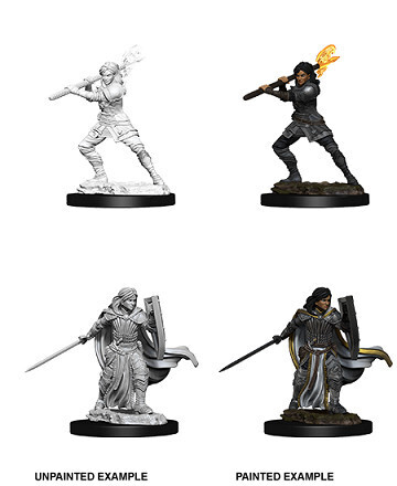 D&amp;D Nolzur&#39;s: Human Female Paladin