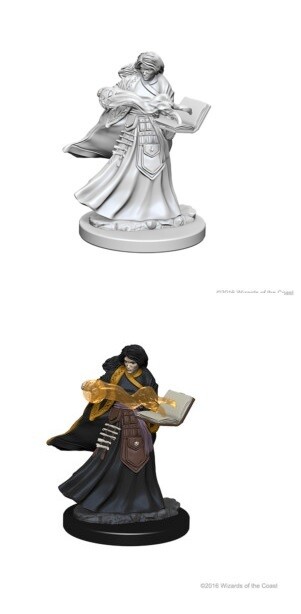 D&amp;D Nolzur&#39;s: Human Female Wizard