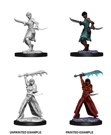 D&amp;D Nolzur&#39;s: Human Female Rogue