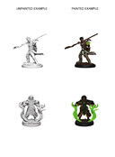 D&amp;D Nolzur&#39;s: Human Male Druid