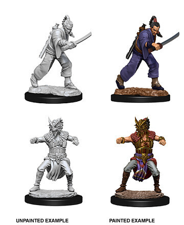 D&amp;D Nolzur&#39;s: Human Male Monk