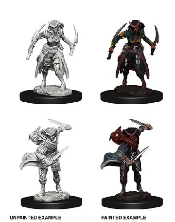 D&amp;D Nolzur&#39;s: Tiefling Female Rogue