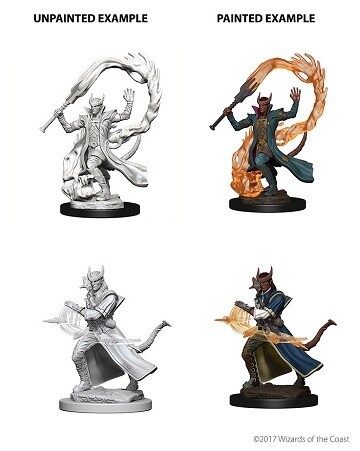D&amp;D Nolzur&#39;s: Tiefling Male Sorcerer