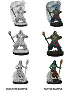 D&amp;D Nolzur&#39;s: Water Genasi Male Druid