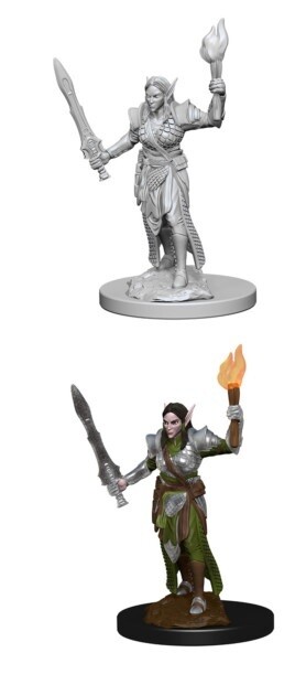 Pathfinder Deep Cuts: Elf Female Fighter