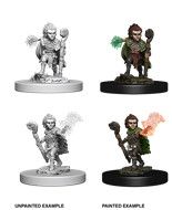 Pathfinder Deep Cuts: Gnome Male Druid