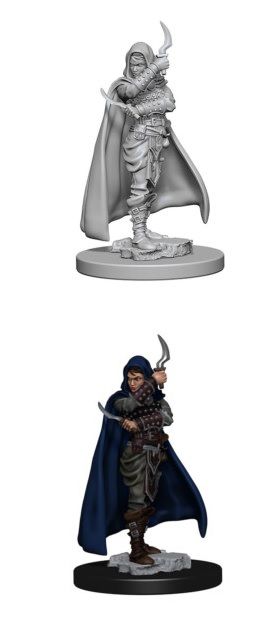 Pathfinder Deep Cuts: Human Female Rogue