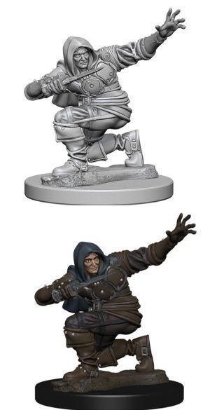 Pathfinder Deep Cuts: Human Male Rogue
