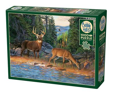 1000 The River&#39;s Edge