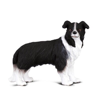 COLLECTA BORDER COLLIE