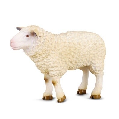 COLLECTA SHEEP