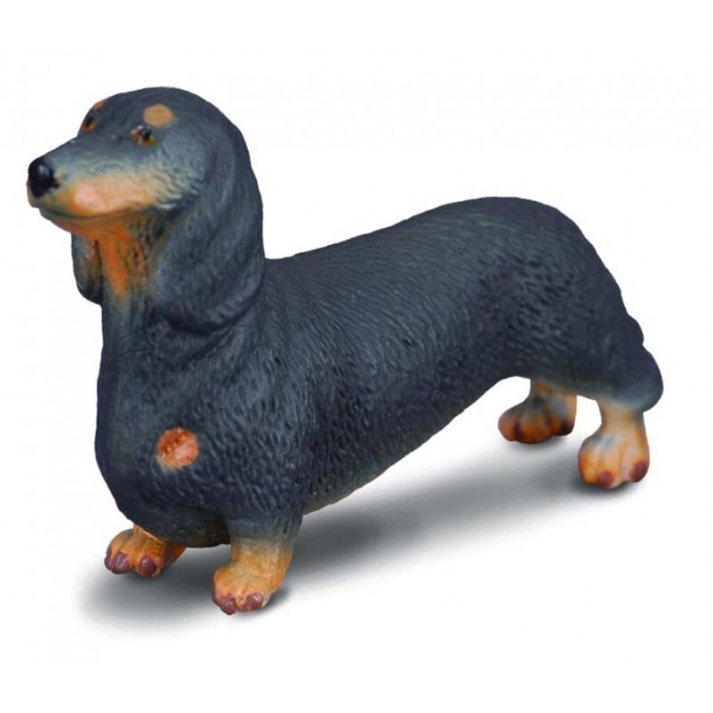 COLLECTA DACHSHUND