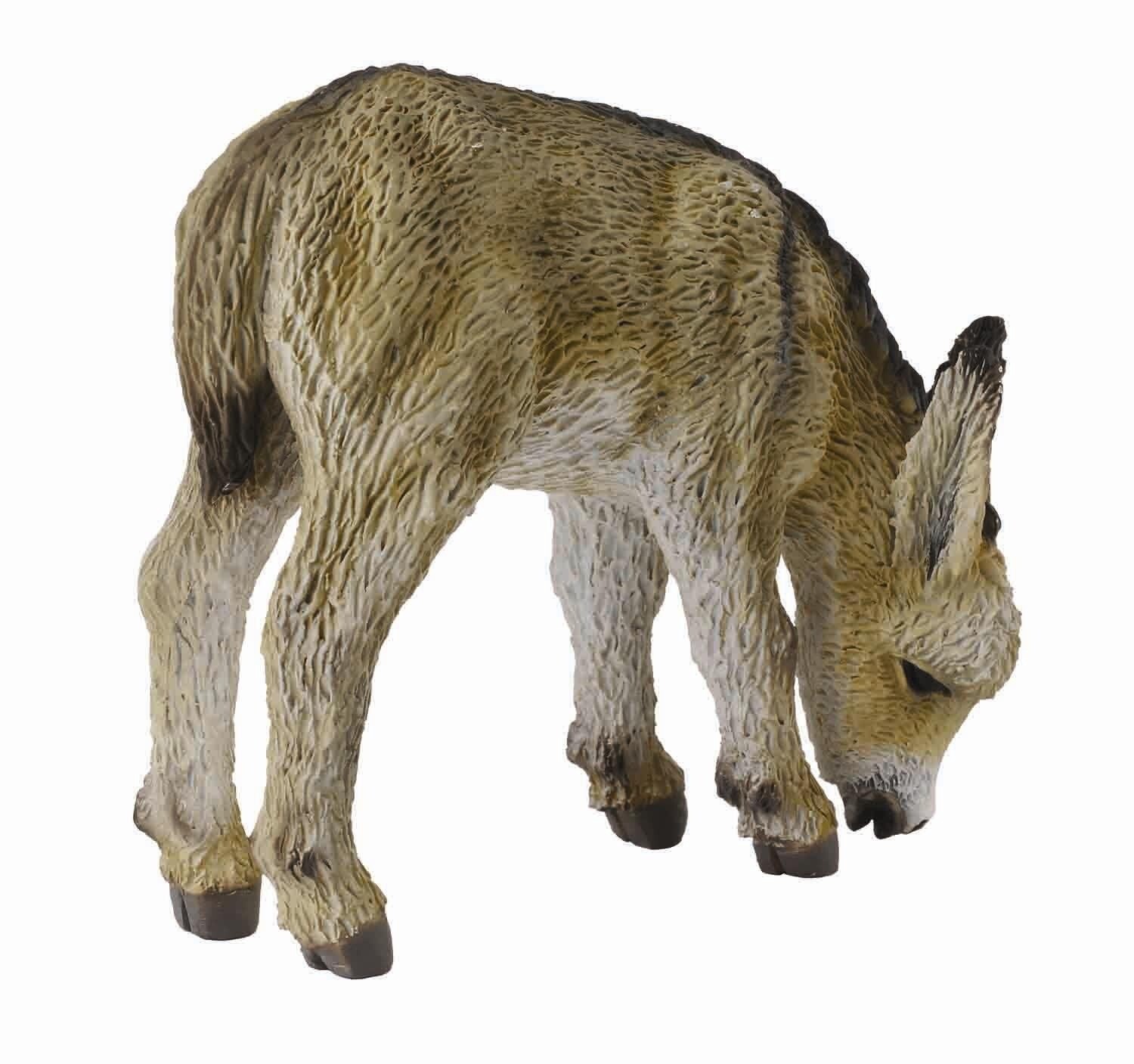 COLLECTA DONKEY FOAL GRAZING
